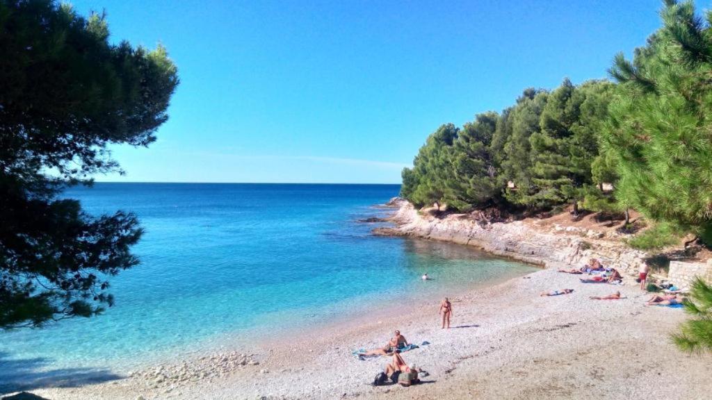Villa Valkane Pet Friendly 150M From The Stunning Valkane Beach, City Indoor Pools-Fitness And City Mall Pula Exteriör bild