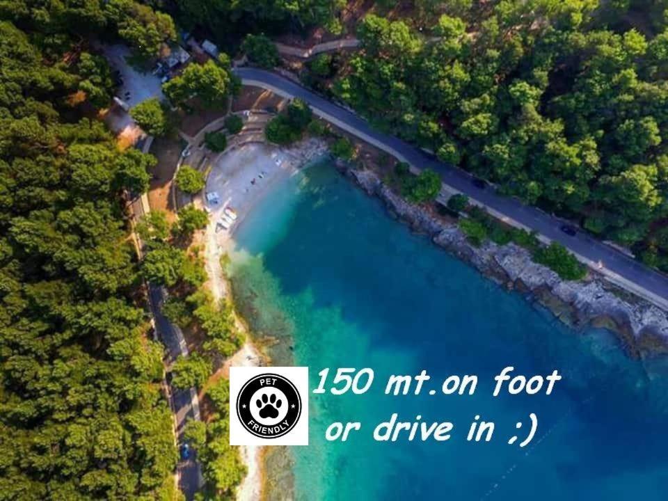 Villa Valkane Pet Friendly 150M From The Stunning Valkane Beach, City Indoor Pools-Fitness And City Mall Pula Exteriör bild
